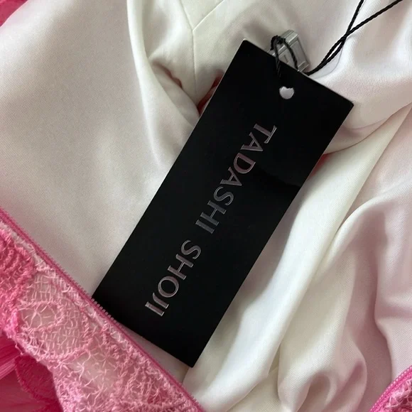 Tadashi Shoji Ines Lace Sheer Floral Open Backless Rose Silk Dress